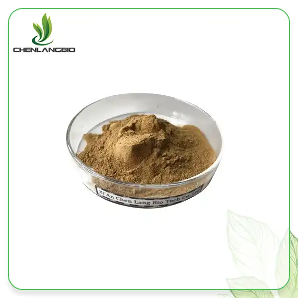 Agaricus Blazei Murill Extract